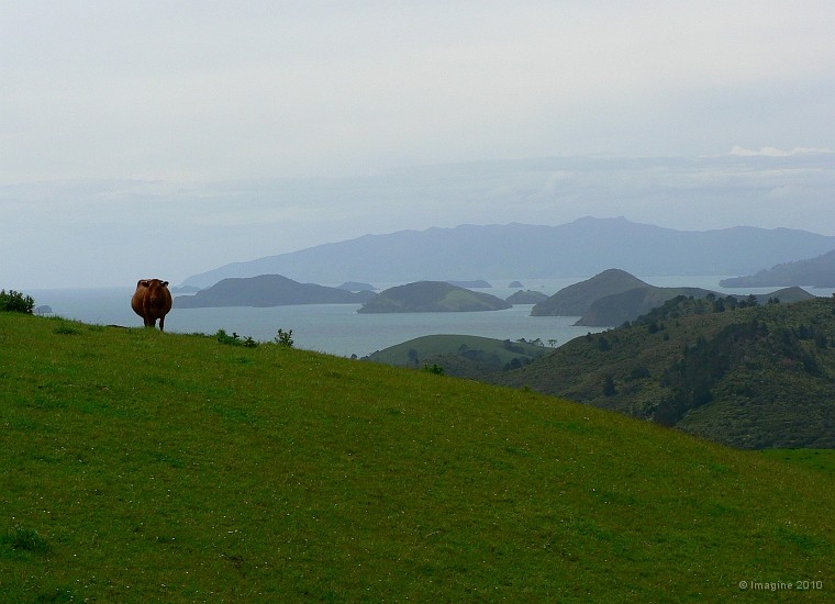 3.11- Paysage sur la route de Coromandel.JPG